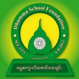 DSF Logo